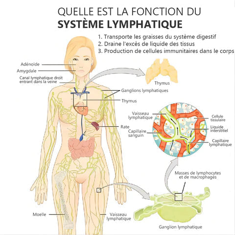Pendientes de germanio - Terapia de acupresión