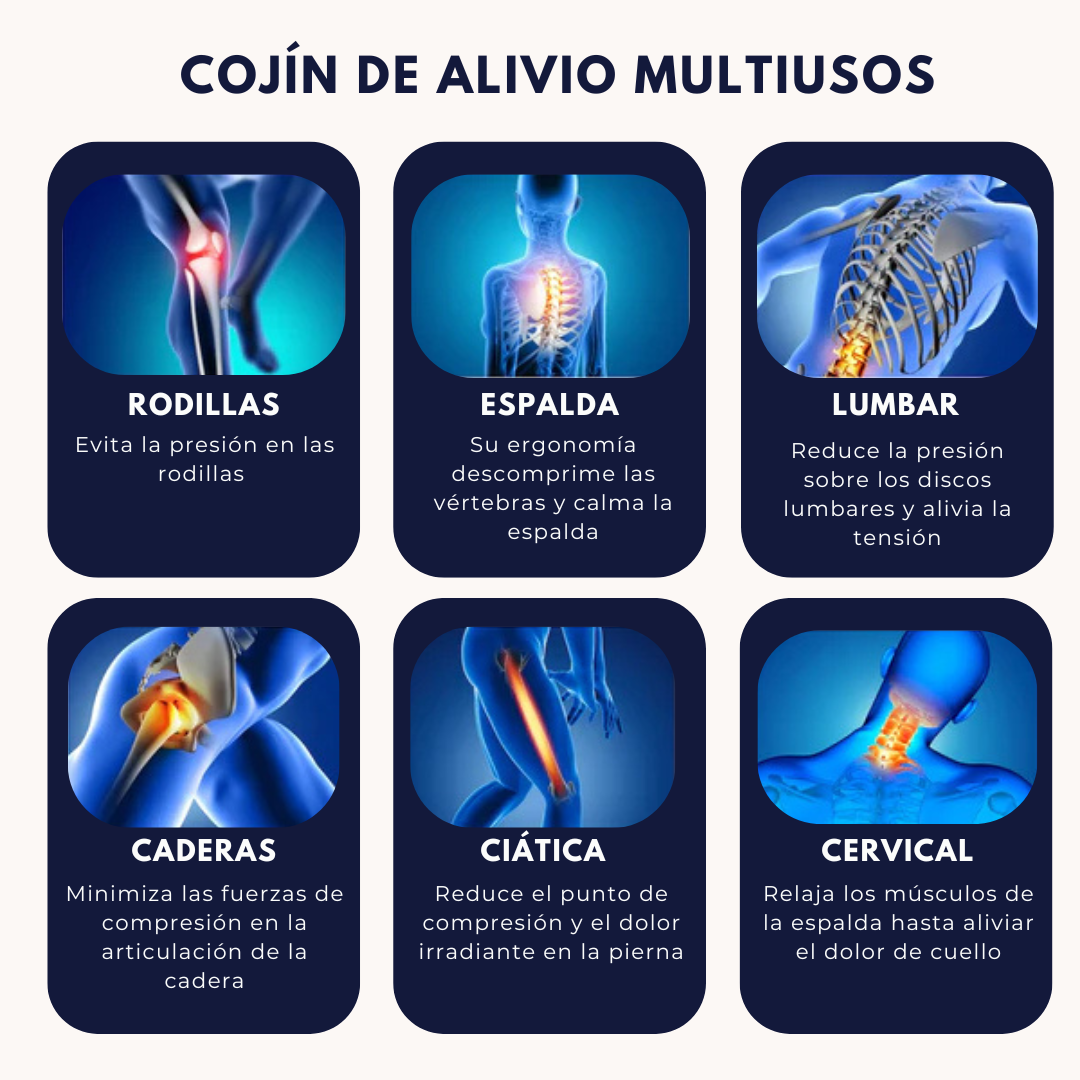 Cojín ortopédico para rodillas Cellsius